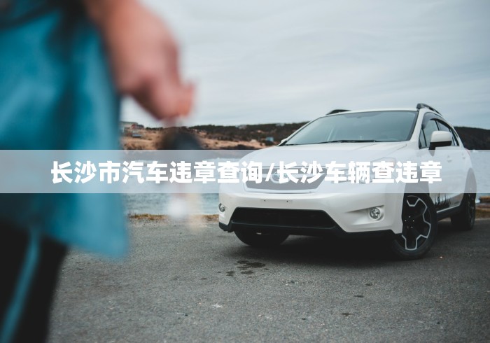 长沙市汽车违章查询/长沙车辆查违章