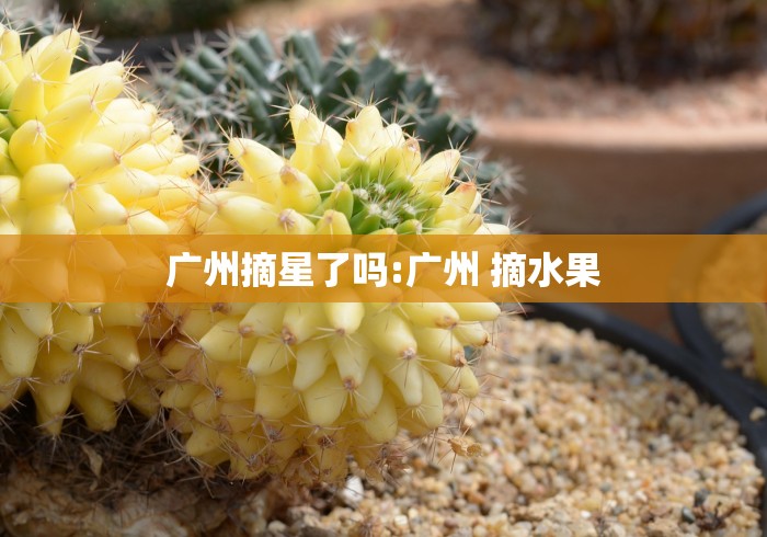 广州摘星了吗:广州 摘水果