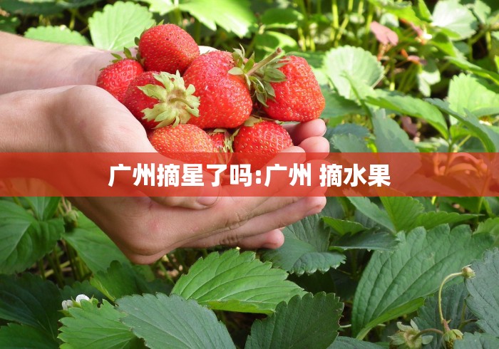 广州摘星了吗:广州 摘水果