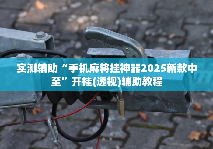 实测辅助“手机麻将挂神器2025新款中至”开挂(透视)辅助教程
