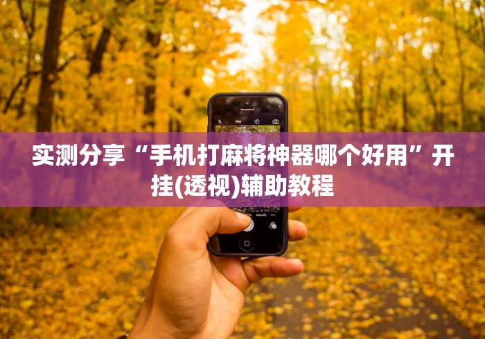 实测分享“手机打麻将神器哪个好用”开挂(透视)辅助教程