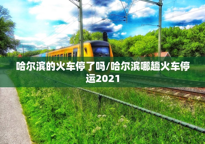 哈尔滨的火车停了吗/哈尔滨哪趟火车停运2021