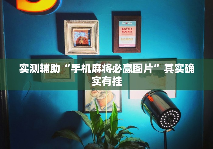实测辅助“手机麻将必赢图片	”其实确实有挂