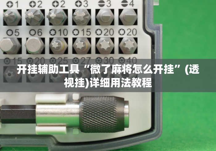 开挂辅助工具“微了麻将怎么开挂”(透视挂)详细用法教程