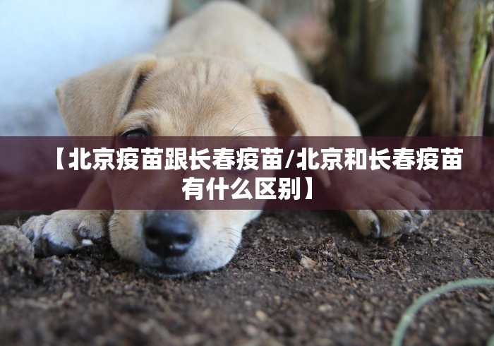 【北京疫苗跟长春疫苗/北京和长春疫苗有什么区别】