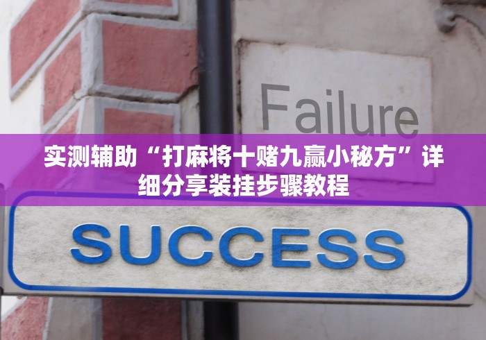 实测辅助“打麻将十赌九赢小秘方”详细分享装挂步骤教程