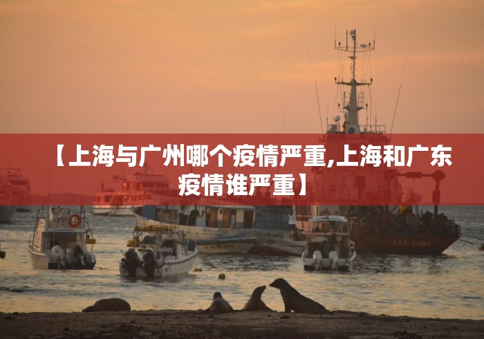 【上海与广州哪个疫情严重,上海和广东疫情谁严重】