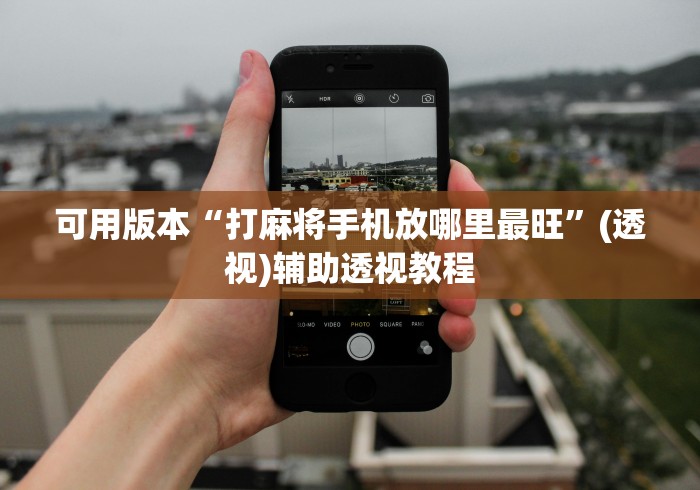 可用版本“打麻将手机放哪里最旺”(透视)辅助透视教程