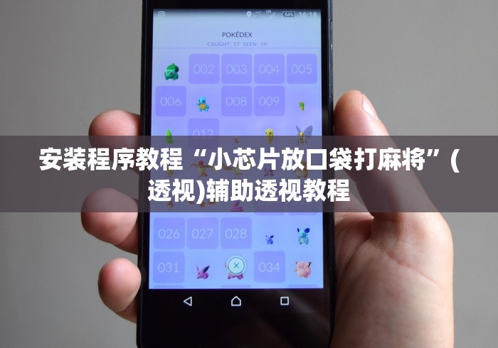 安装程序教程“小芯片放口袋打麻将”(透视)辅助透视教程