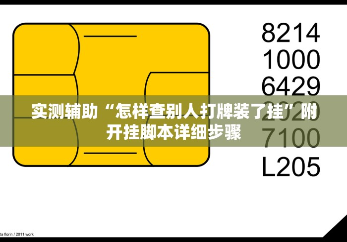 实测辅助“怎样查别人打牌装了挂”附开挂脚本详细步骤
