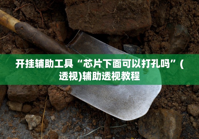 开挂辅助工具“芯片下面可以打孔吗”(透视)辅助透视教程