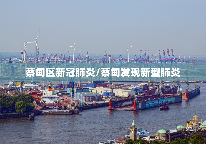 蔡甸区新冠肺炎/蔡甸发现新型肺炎