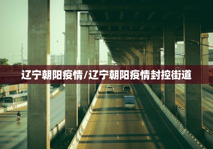 辽宁朝阳疫情/辽宁朝阳疫情封控街道