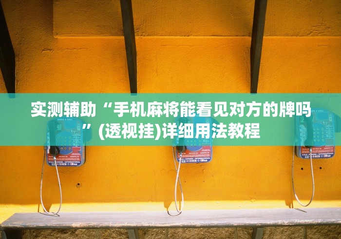 实测辅助“手机麻将能看见对方的牌吗”(透视挂)详细用法教程