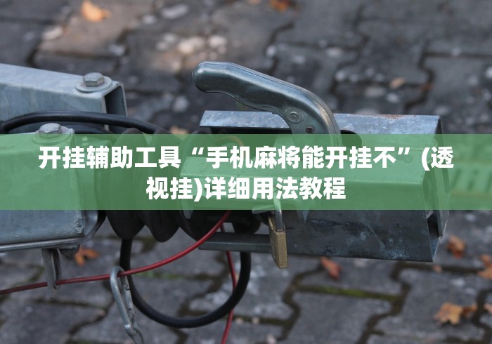 开挂辅助工具“手机麻将能开挂不”(透视挂)详细用法教程