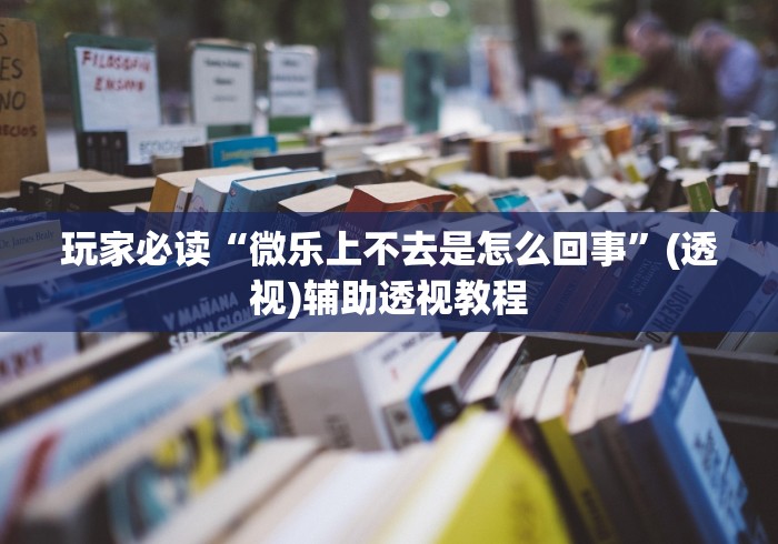 玩家必读“微乐上不去是怎么回事”(透视)辅助透视教程