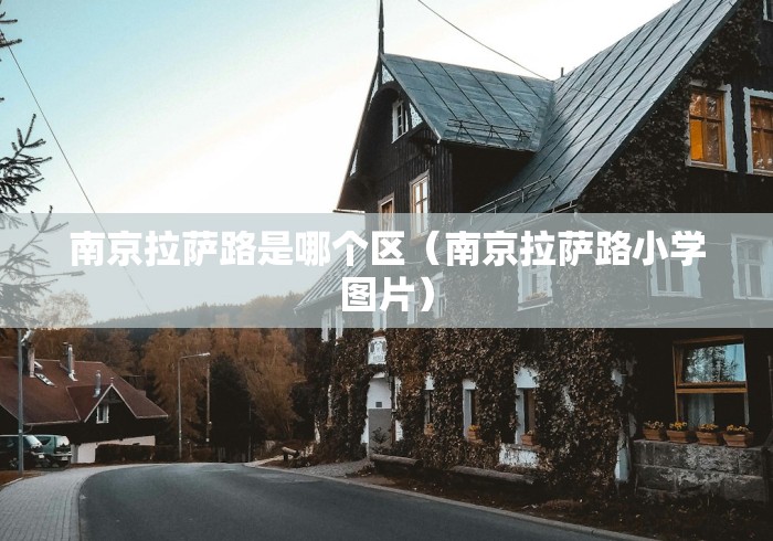 南京拉萨路是哪个区（南京拉萨路小学图片）
