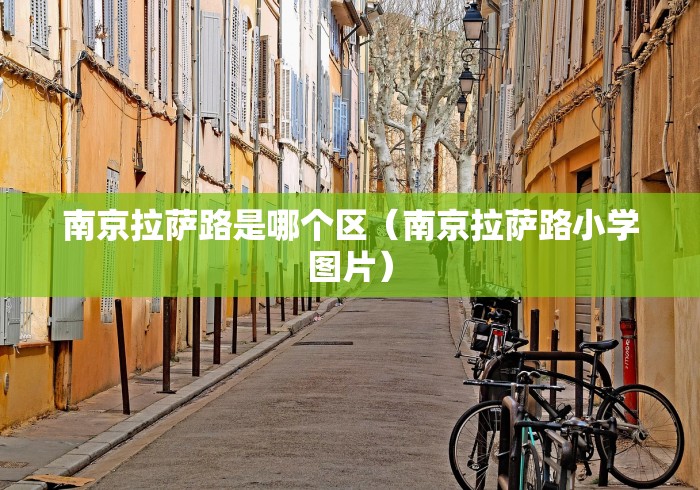 南京拉萨路是哪个区（南京拉萨路小学图片）
