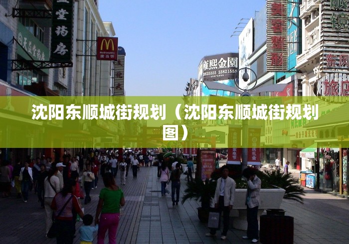沈阳东顺城街规划（沈阳东顺城街规划图）