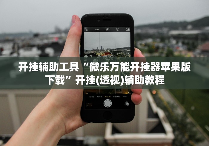 开挂辅助工具“微乐万能开挂器苹果版下载”开挂(透视)辅助教程