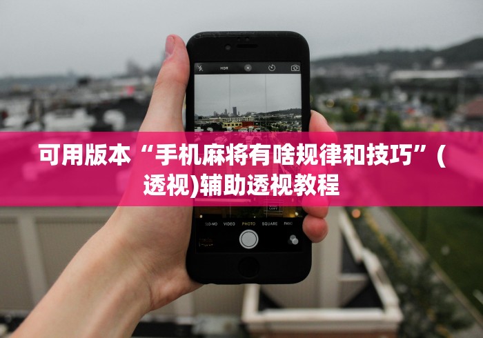 可用版本“手机麻将有啥规律和技巧”(透视)辅助透视教程