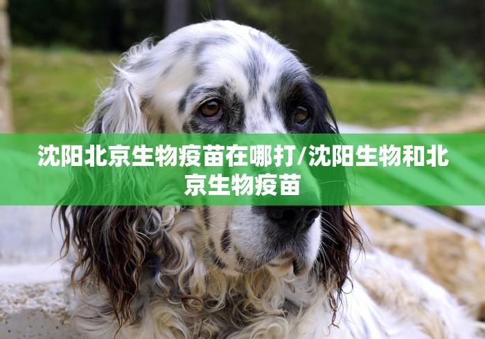 沈阳北京生物疫苗在哪打/沈阳生物和北京生物疫苗