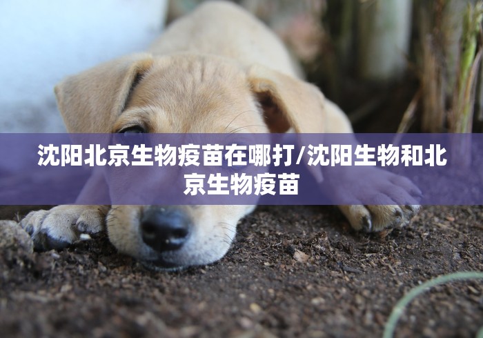 沈阳北京生物疫苗在哪打/沈阳生物和北京生物疫苗 沈阳北京生物疫苗在哪打/沈阳生物和北京生物疫苗