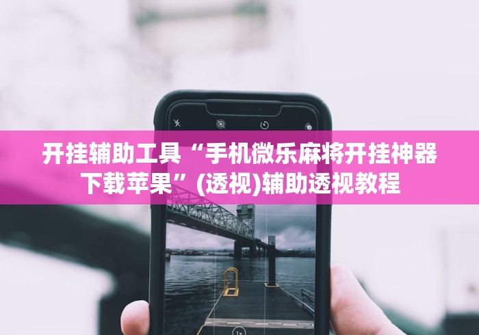 开挂辅助工具“手机微乐麻将开挂神器下载苹果”(透视)辅助透视教程