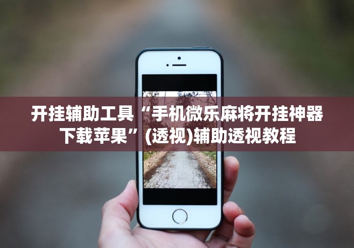 开挂辅助工具“手机微乐麻将开挂神器下载苹果”(透视)辅助透视教程
