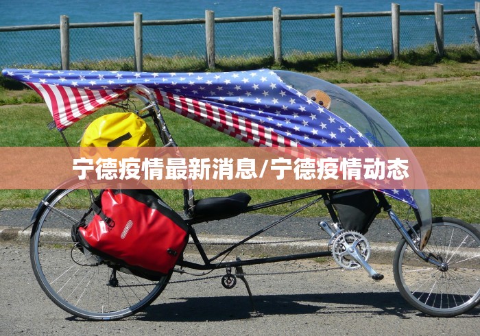 宁德疫情最新消息/宁德疫情动态