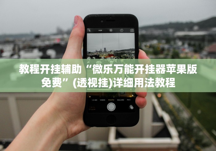 教程开挂辅助“微乐万能开挂器苹果版免费”(透视挂)详细用法教程
