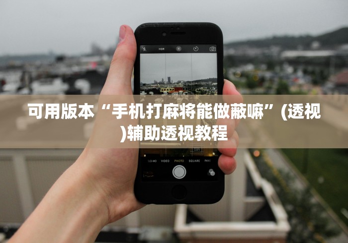 可用版本“手机打麻将能做蔽嘛	”(透视)辅助透视教程