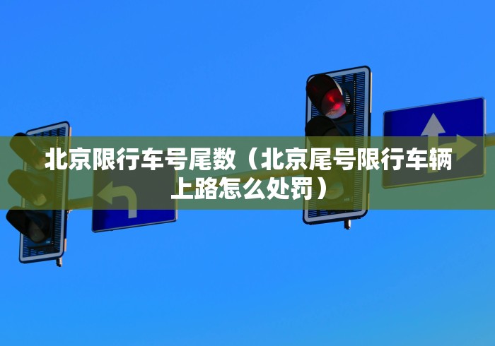 北京限行车号尾数(北京尾号限行车辆上路怎么处罚)
