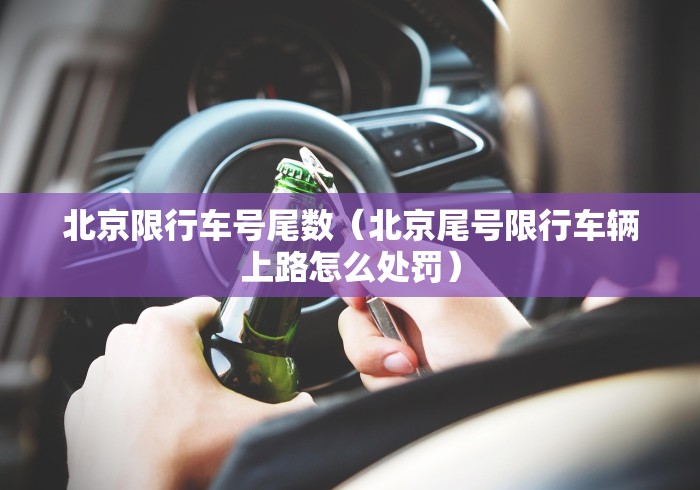 北京限行车号尾数（北京尾号限行车辆上路怎么处罚）
