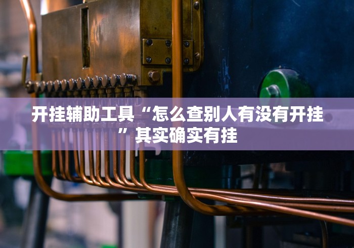 开挂辅助工具“怎么查别人有没有开挂”其实确实有挂