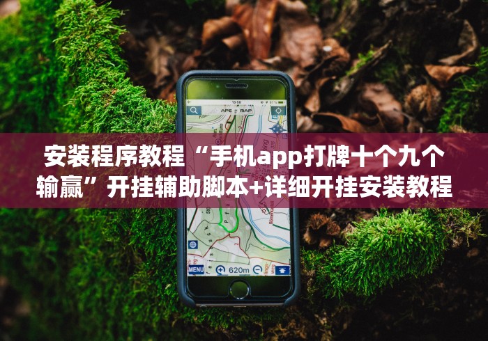 安装程序教程“手机app打牌十个九个输赢”开挂辅助脚本+详细开挂安装教程