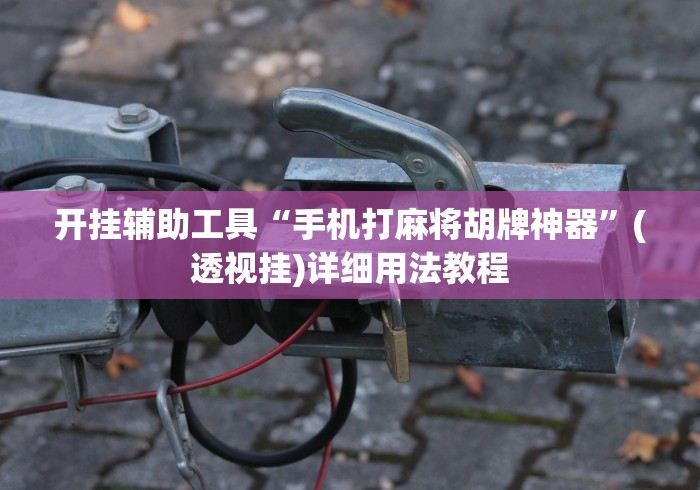 开挂辅助工具“手机打麻将胡牌神器”(透视挂)详细用法教程