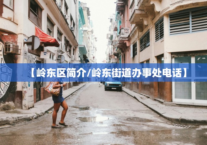 【岭东区简介/岭东街道办事处电话】