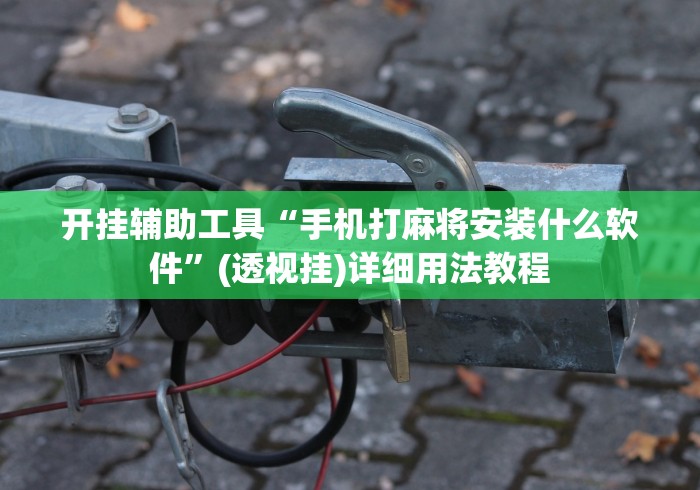 开挂辅助工具“手机打麻将安装什么软件”(透视挂)详细用法教程