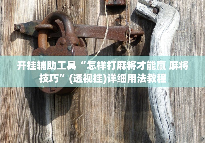 开挂辅助工具“怎样打麻将才能赢 麻将技巧”(透视挂)详细用法教程