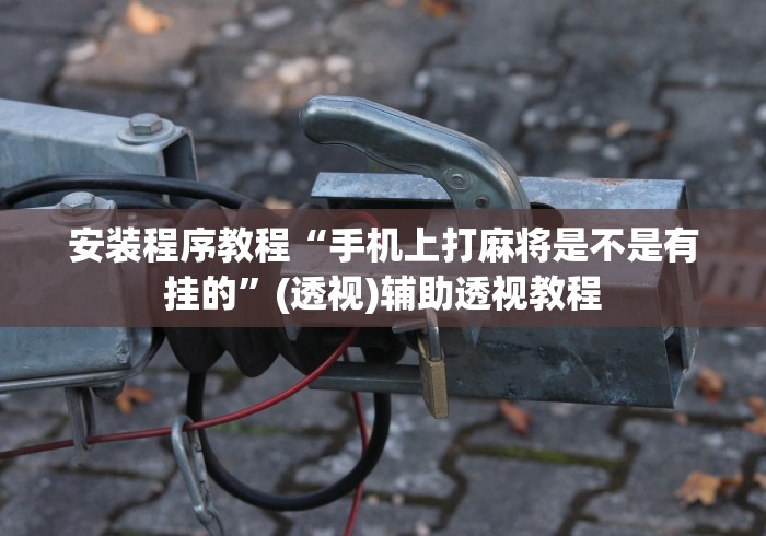 安装程序教程“手机上打麻将是不是有挂的”(透视)辅助透视教程