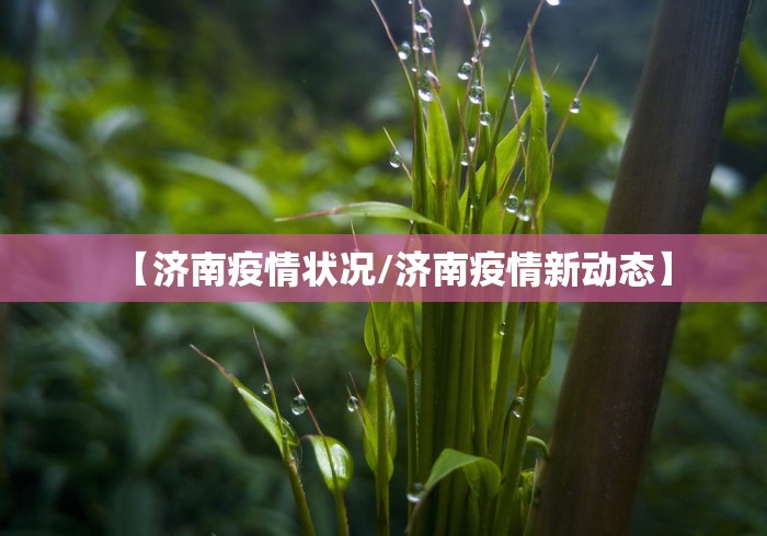【济南疫情状况/济南疫情新动态】