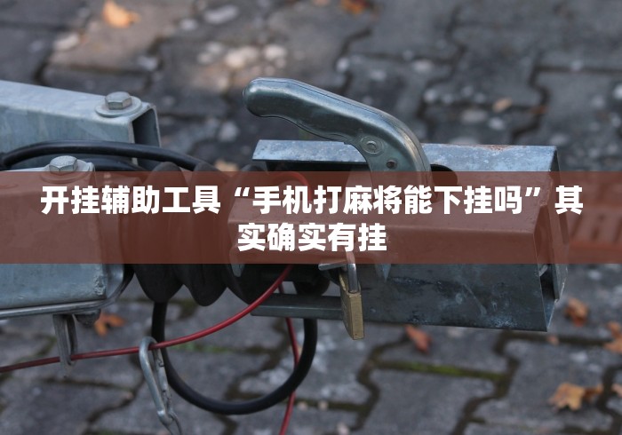 开挂辅助工具“手机打麻将能下挂吗”其实确实有挂
