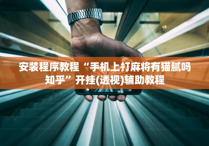 安装程序教程“手机上打麻将有猫腻吗知乎”开挂(透视)辅助教程