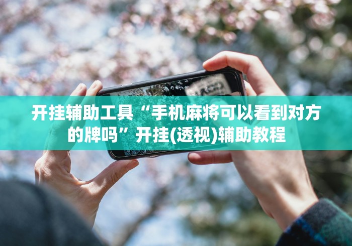 开挂辅助工具“手机麻将可以看到对方的牌吗”开挂(透视)辅助教程