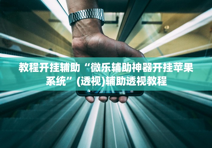 教程开挂辅助“微乐辅助神器开挂苹果系统”(透视)辅助透视教程