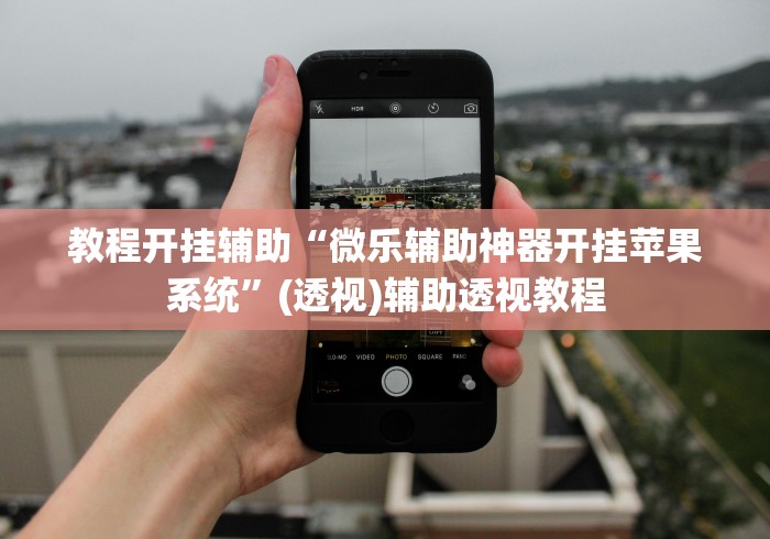 教程开挂辅助“微乐辅助神器开挂苹果系统	”(透视)辅助透视教程