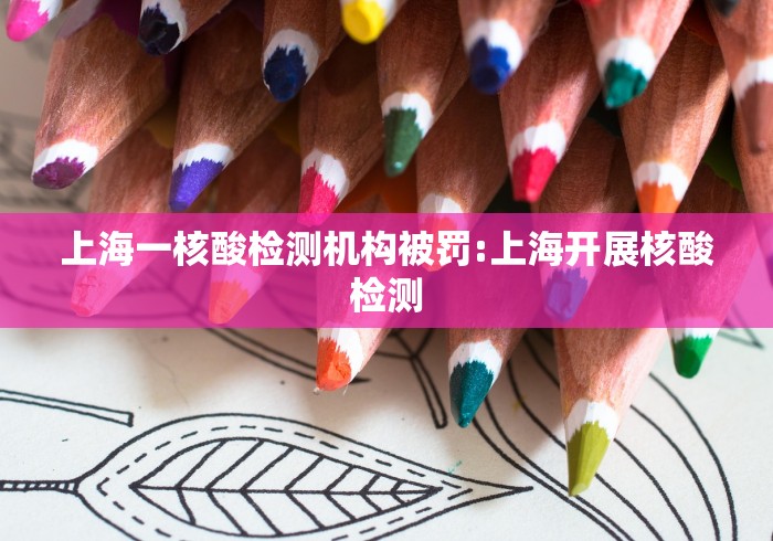 上海一核酸检测机构被罚:上海开展核酸检测