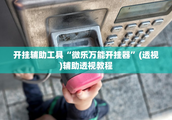开挂辅助工具“微乐万能开挂器	”(透视)辅助透视教程