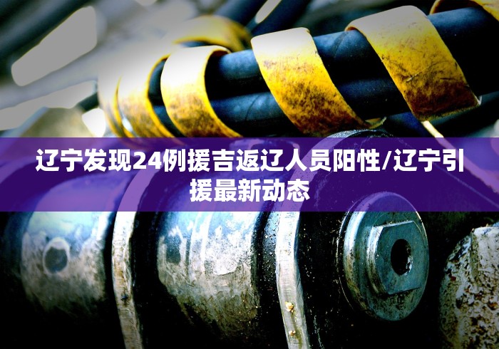 辽宁发现24例援吉返辽人员阳性/辽宁引援最新动态